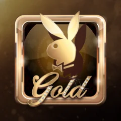Playboy Gold - TITANBET138
