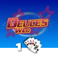 Deuces Wild 1 Hand - TITANBET138