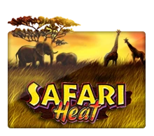 Joker123 : Safari Heat - TITANBET138