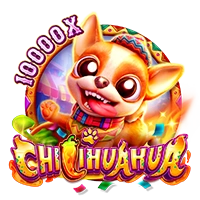 Facai : CHILIHUAHUA - TITANBET138
