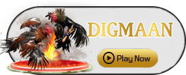 Digman - TITANBET138